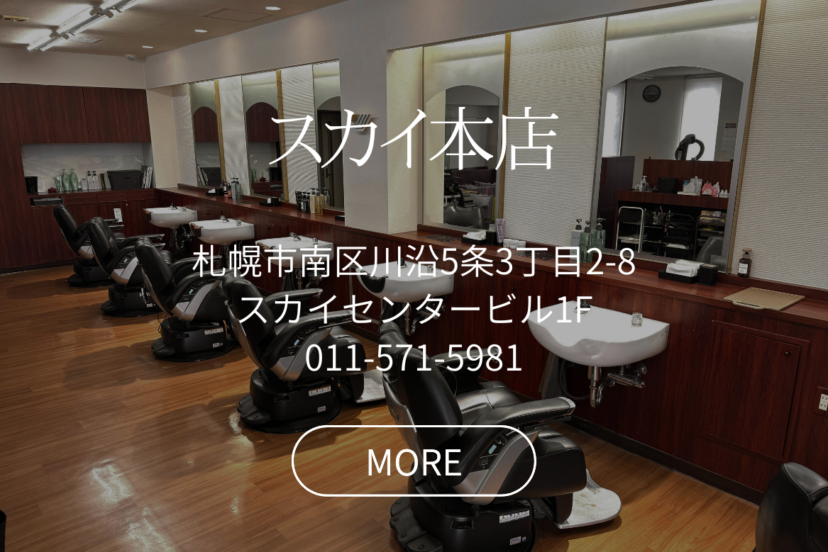スカイ本店