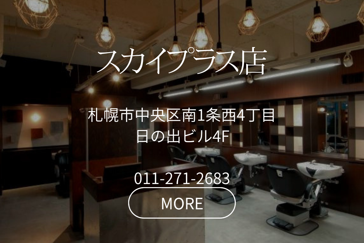 スカイプラス店